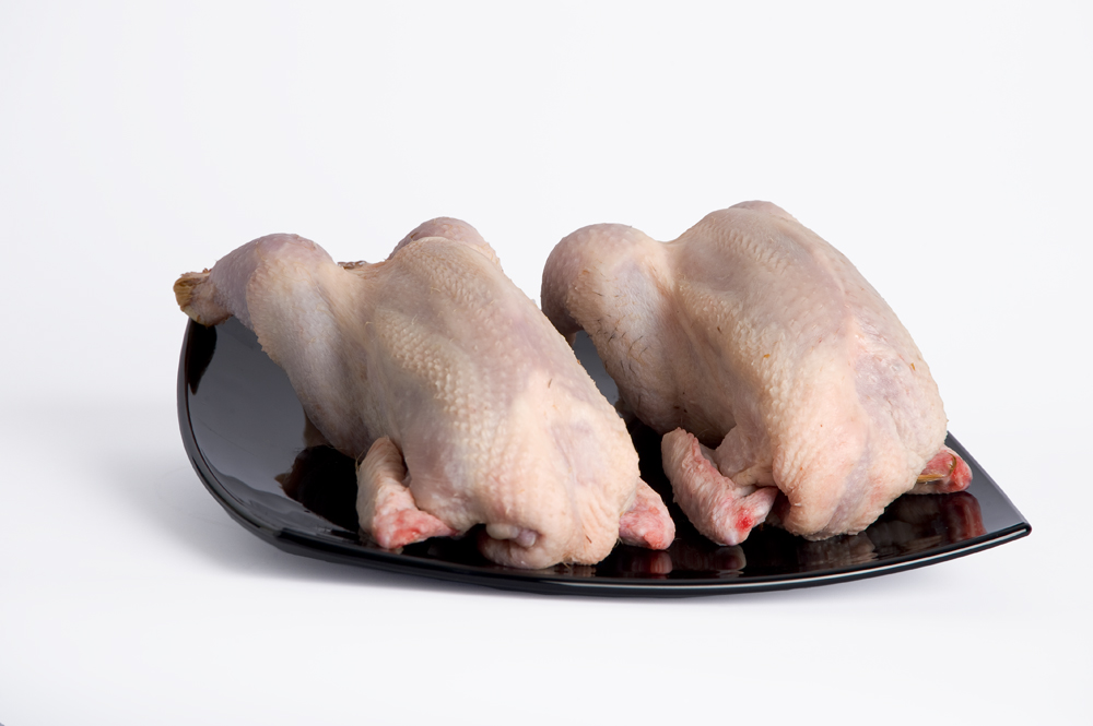 PICANTONES (ART.76) POLLO Pollería Julia Frescos Zaragoza