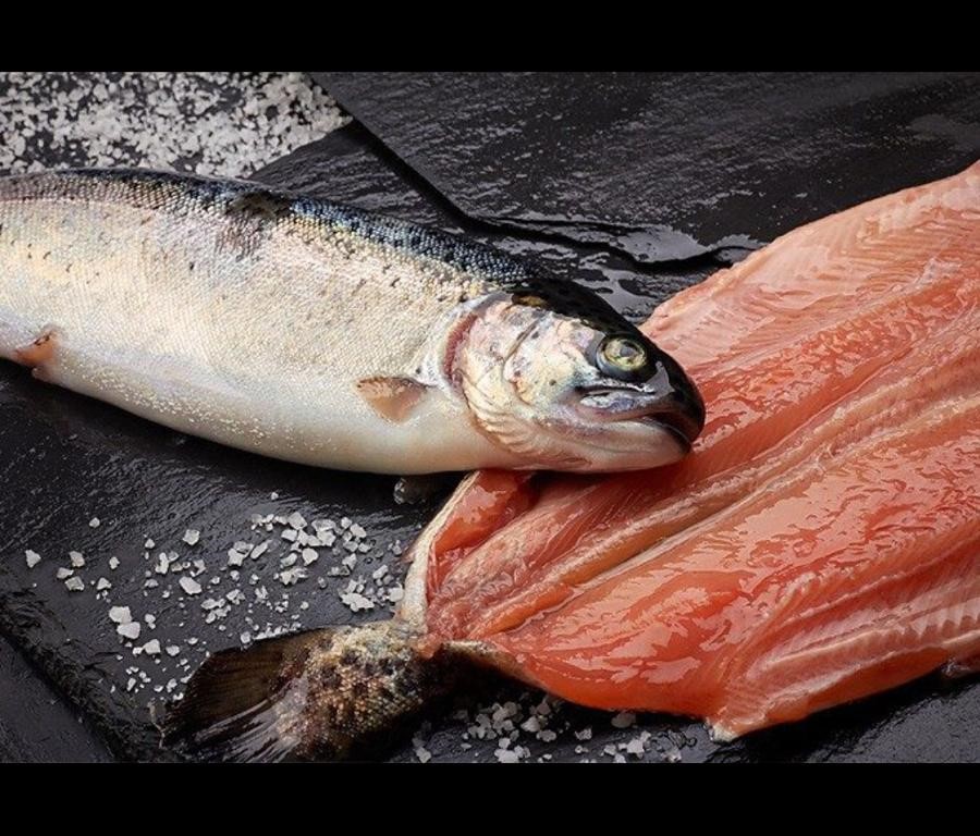 TRUCHA ENTERA (ART.14) PESCADO AZUL Pescados Luis Cañete Frescos